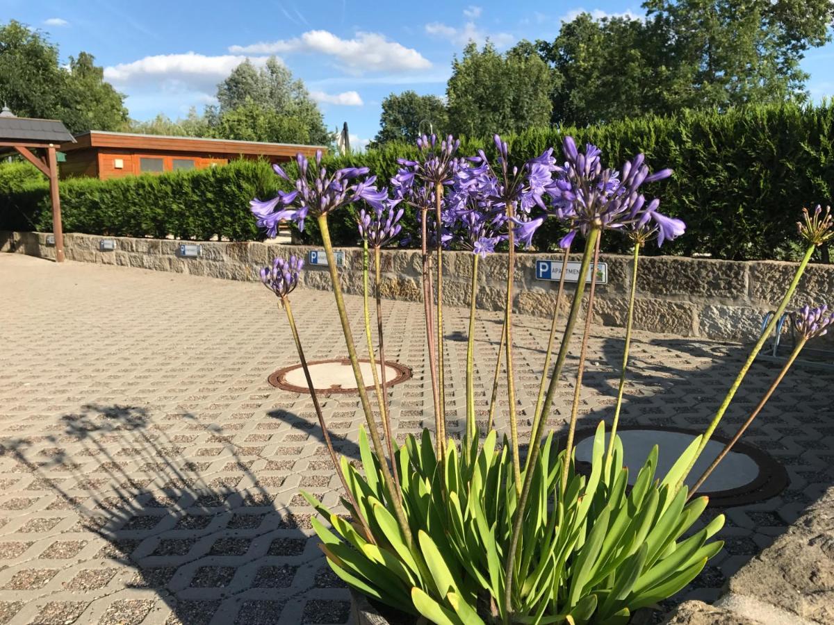 Apartmán Kaitzbach-Idylle Drážďany Exteriér fotografie